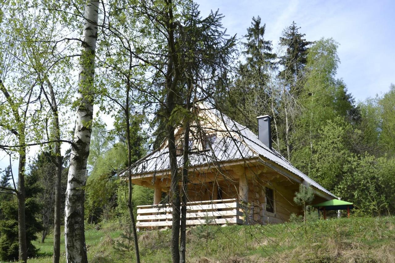 Mountain Chalet Smolenisko Domek W Gorach Nowy Targ Extérieur photo